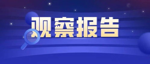 信息技術應用調研及對法律服務行業(yè)的影響觀察報告——聚焦信息技術咨詢服務
